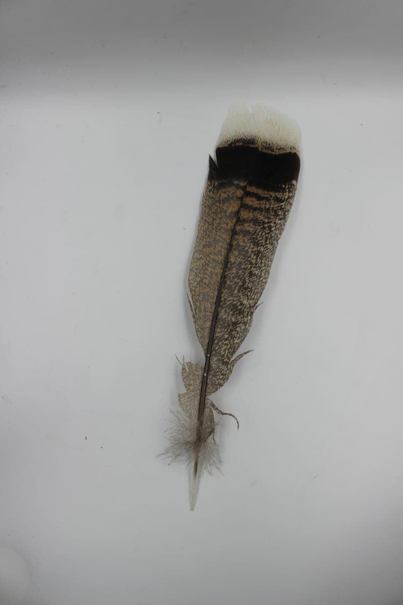 Pluma de Bombero