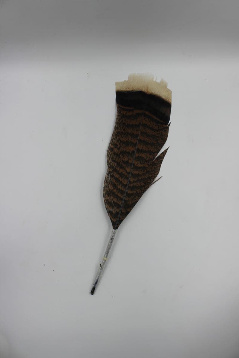 Pluma de Bombero