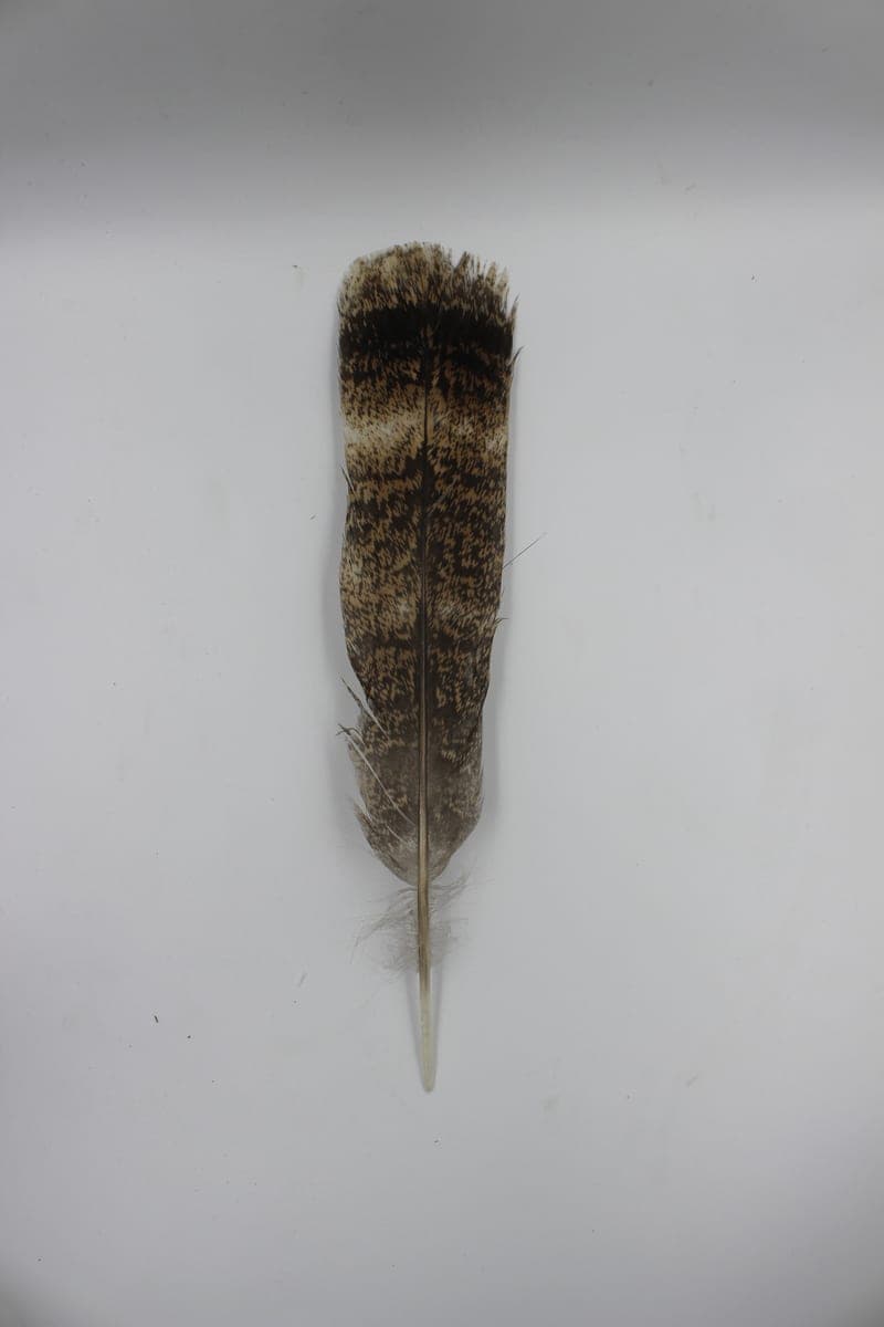 Pluma de Bombero