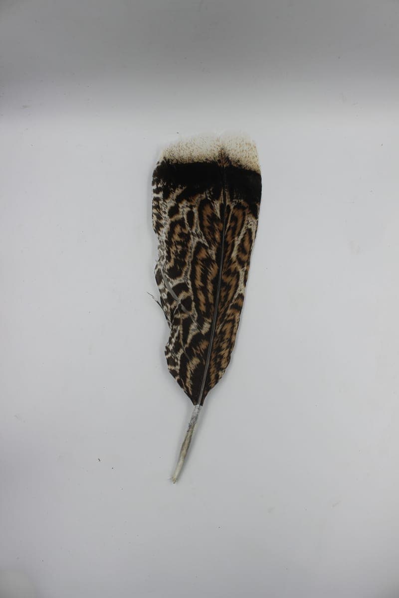 Pluma de Bombero