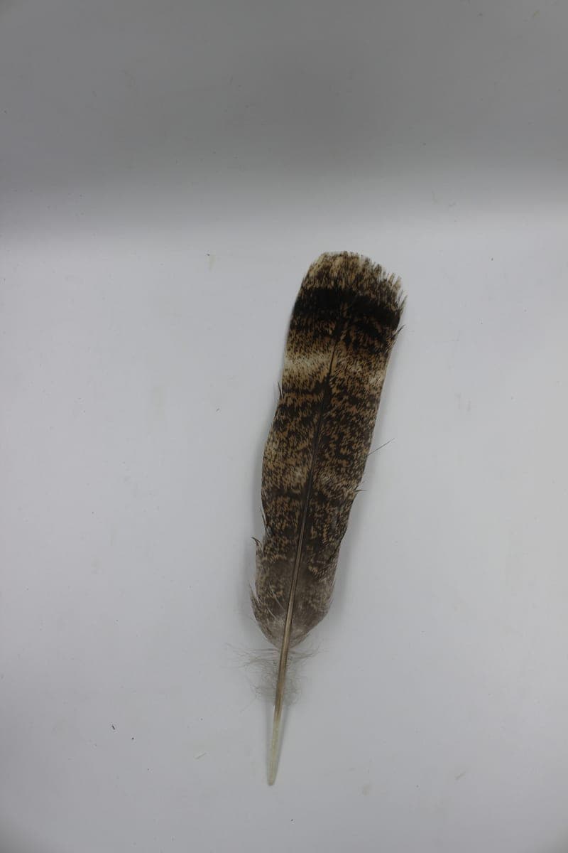 Pluma de Bombero